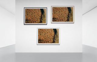 Red Earth: Sprinkling