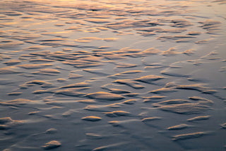 Low tide: Fish scale shimmer - Big Sky Art Aus
