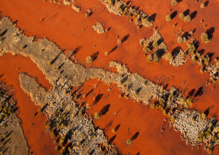 Red Earth: Spinifex channels - Big Sky Art Aus