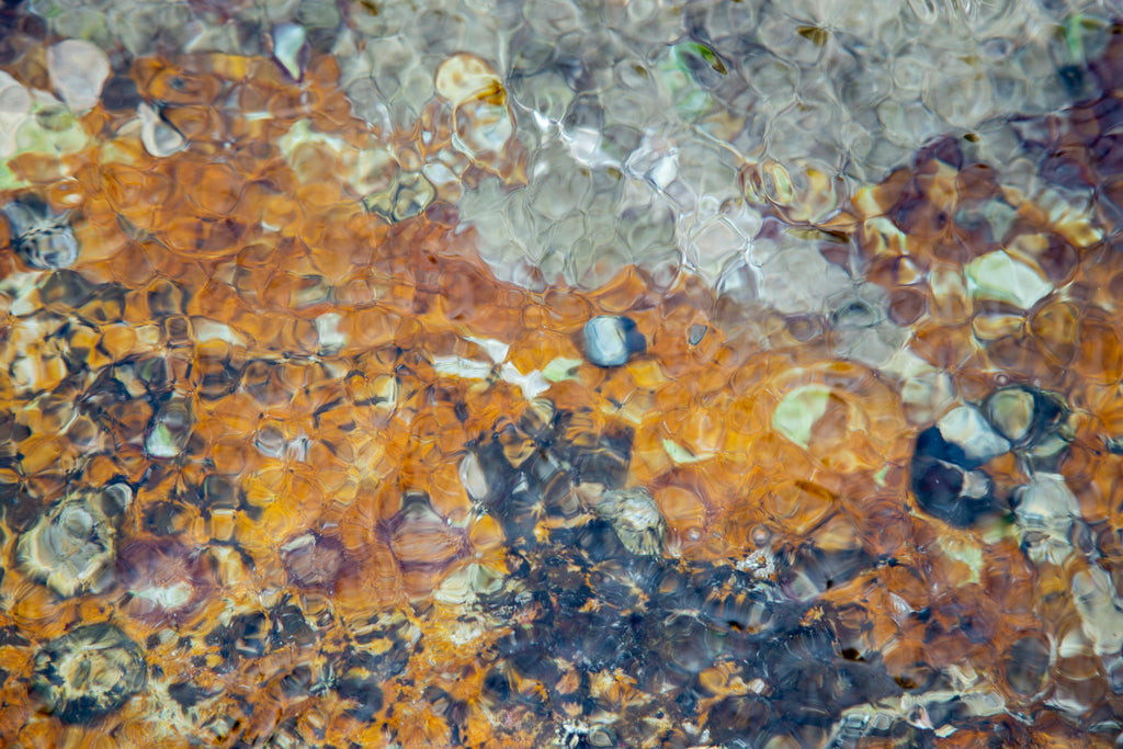 Rockpool Ripples Rockpool: I lichen – Big Sky Art Aus